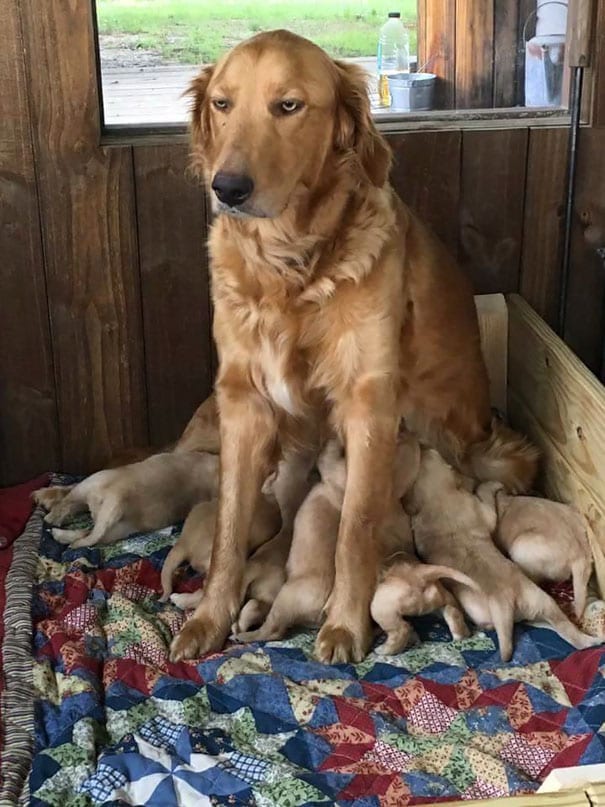 Zoe is a first-time mom