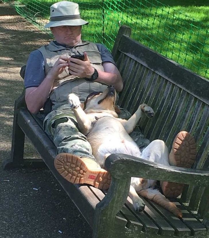 The dogs love to chill with their humans in the park