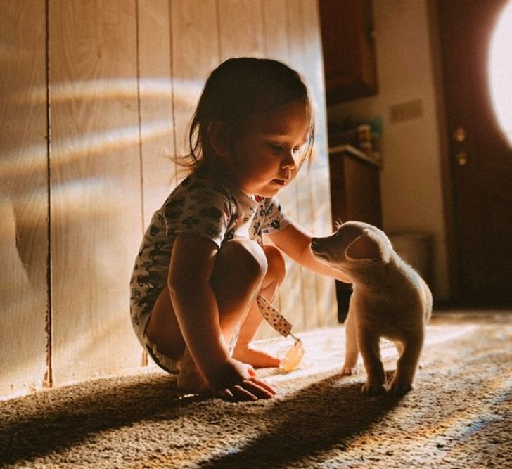 The Inevitable Bond Between My Son And His Puppy