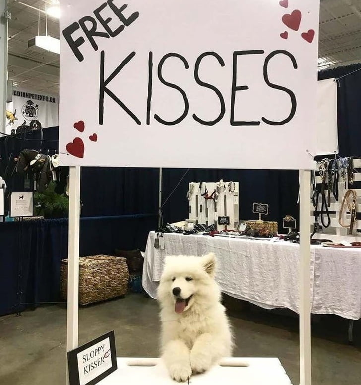 Offering free kisses to everyone because all hoomans deserve the best