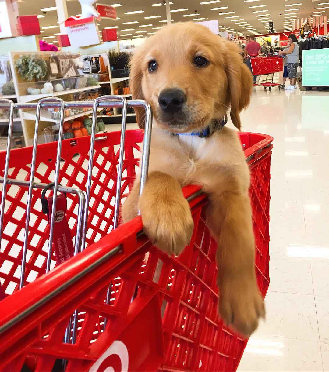 Guess who is really excited to shop?