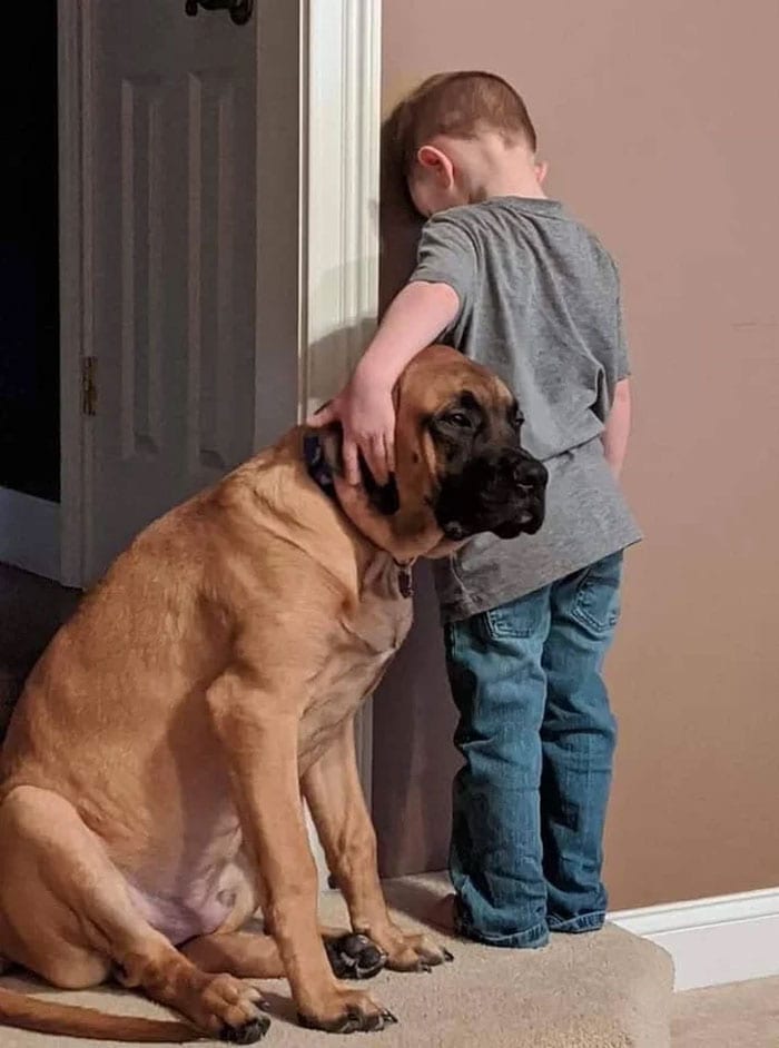 When You’re In Time-Out But Your Best Bud Won’t Let You Do Time Alone.
