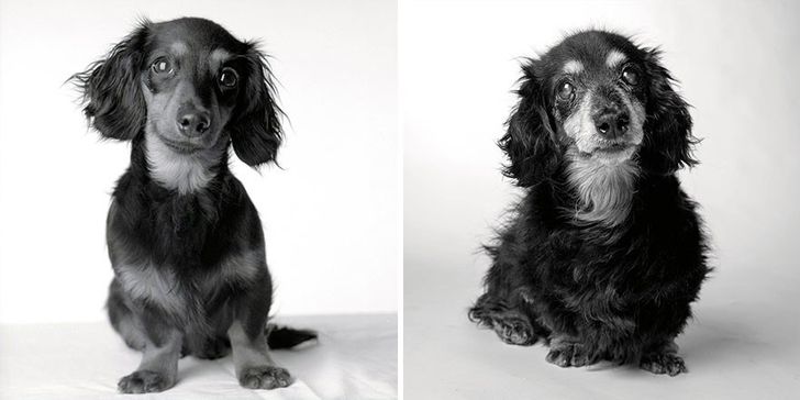 Lily — 8 months and 15 years