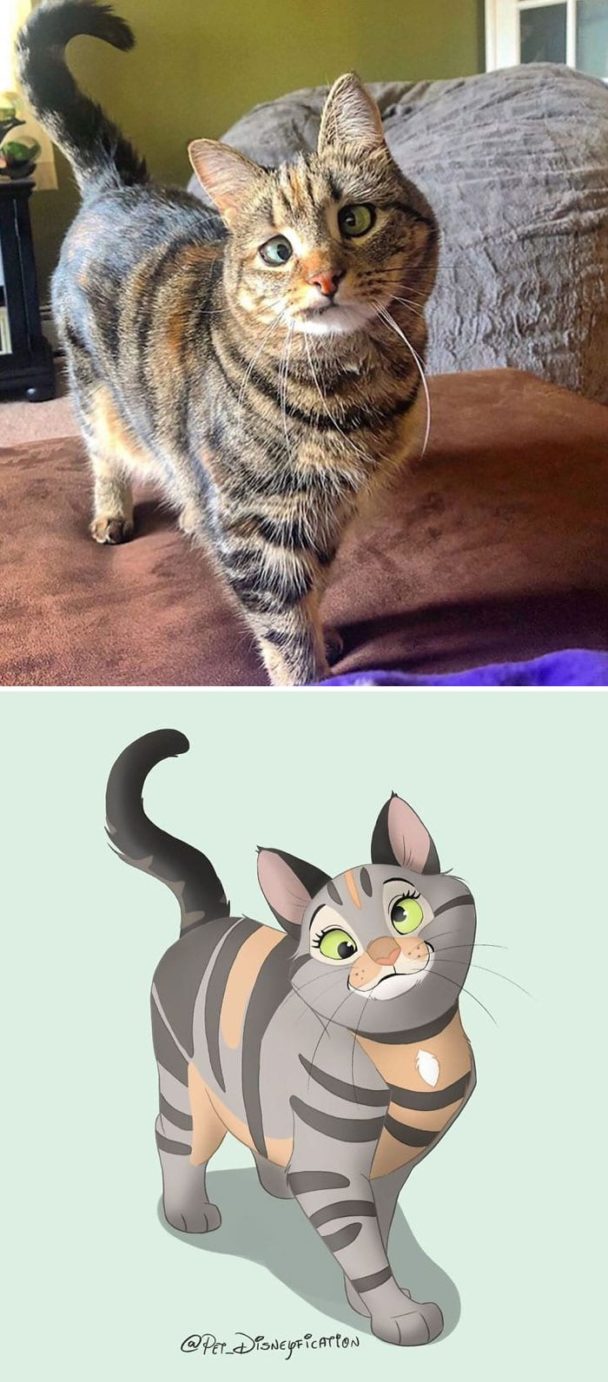 people send pictures of their pets to this artist to... People Send Photos Of Their Pets And This Artist Disneyfies Them