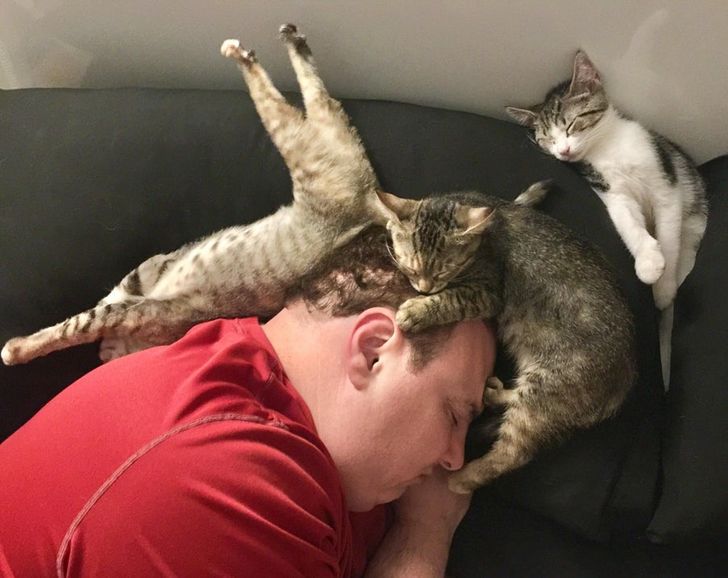 I was reading in bed last night when I realized my husband and our foster kittens were all fast asleep like this