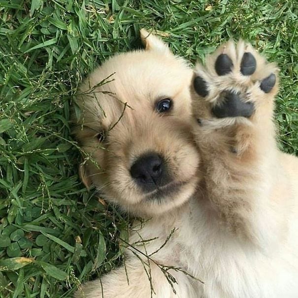 Give me high five!