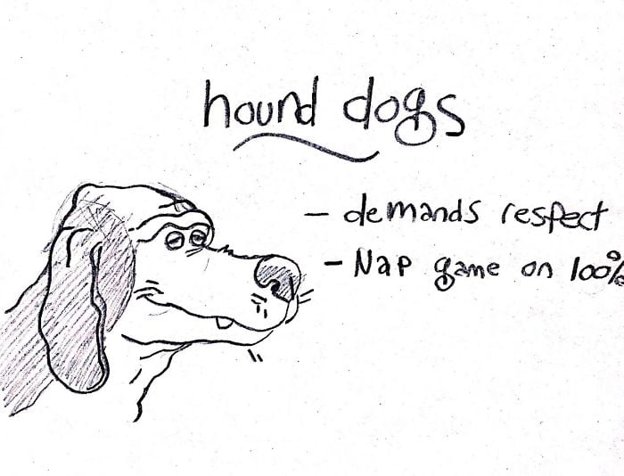 If you see a hound, they are probably napping