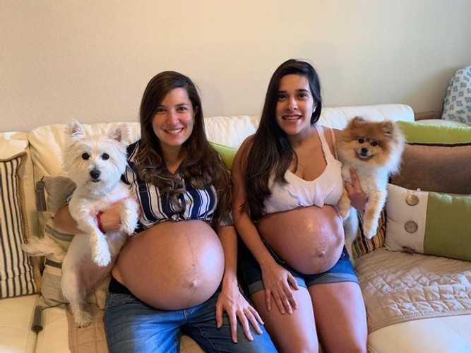 same sex couple pregnant