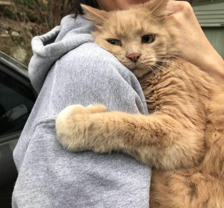 Cat hugging his mum after being lost for five hours