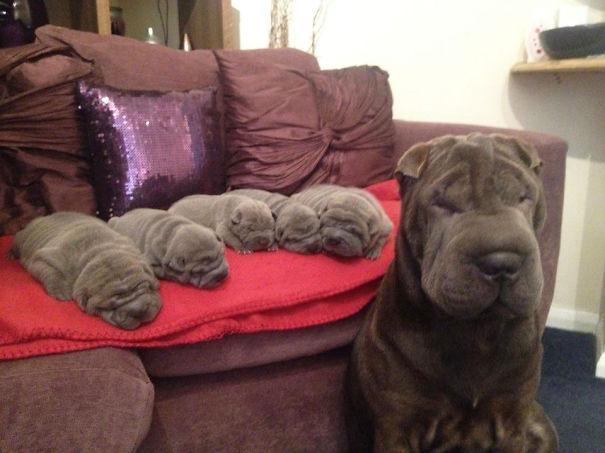 The Big Wrinkle made all these tiny Wrinkles