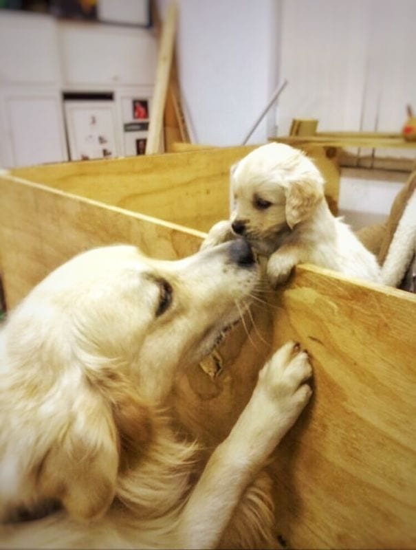 The first meeting between a son and his mother