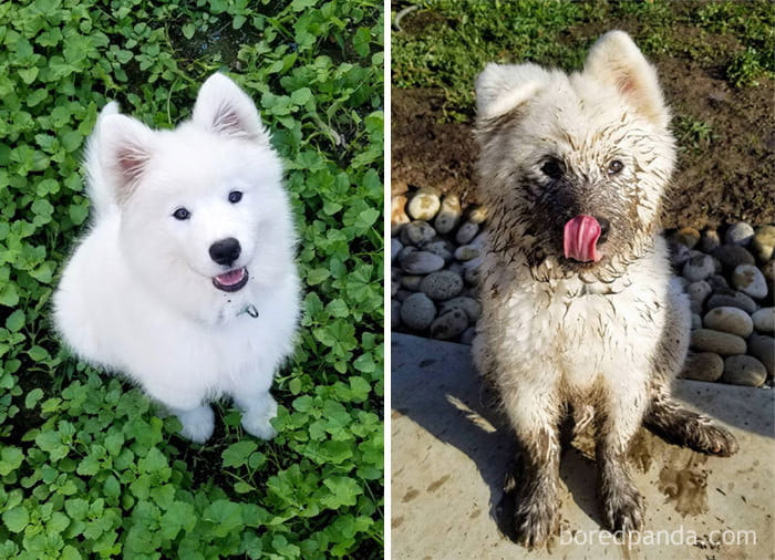 Playing in the mud is the way towards happiness