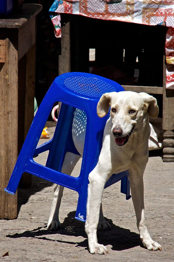 Nope, not stuck! Just carrying the seat around