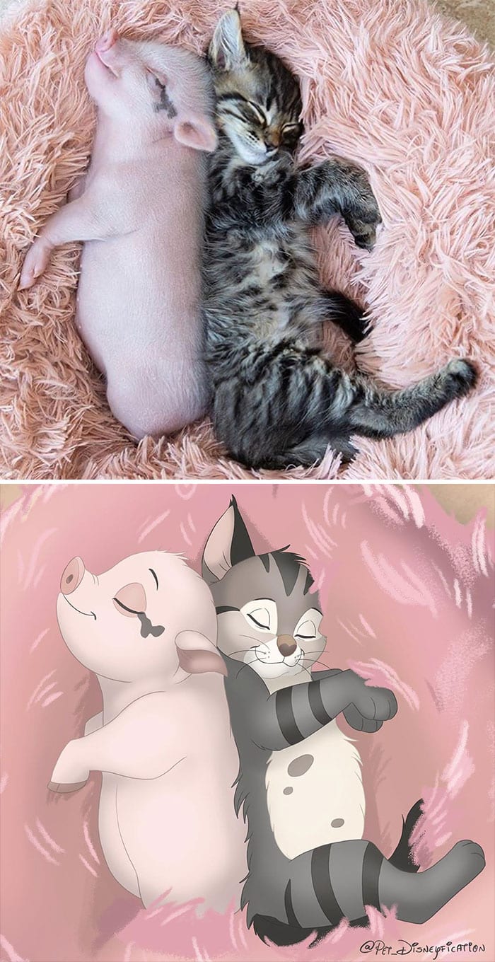 I can already see it, The piggy and the kitty