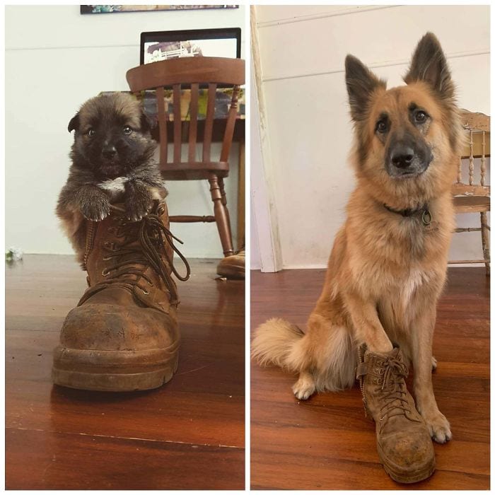 Same Boot, 3 Years Later