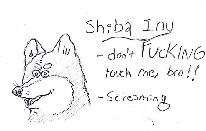 And here I thought Shiba Inu’s were gentle and calm