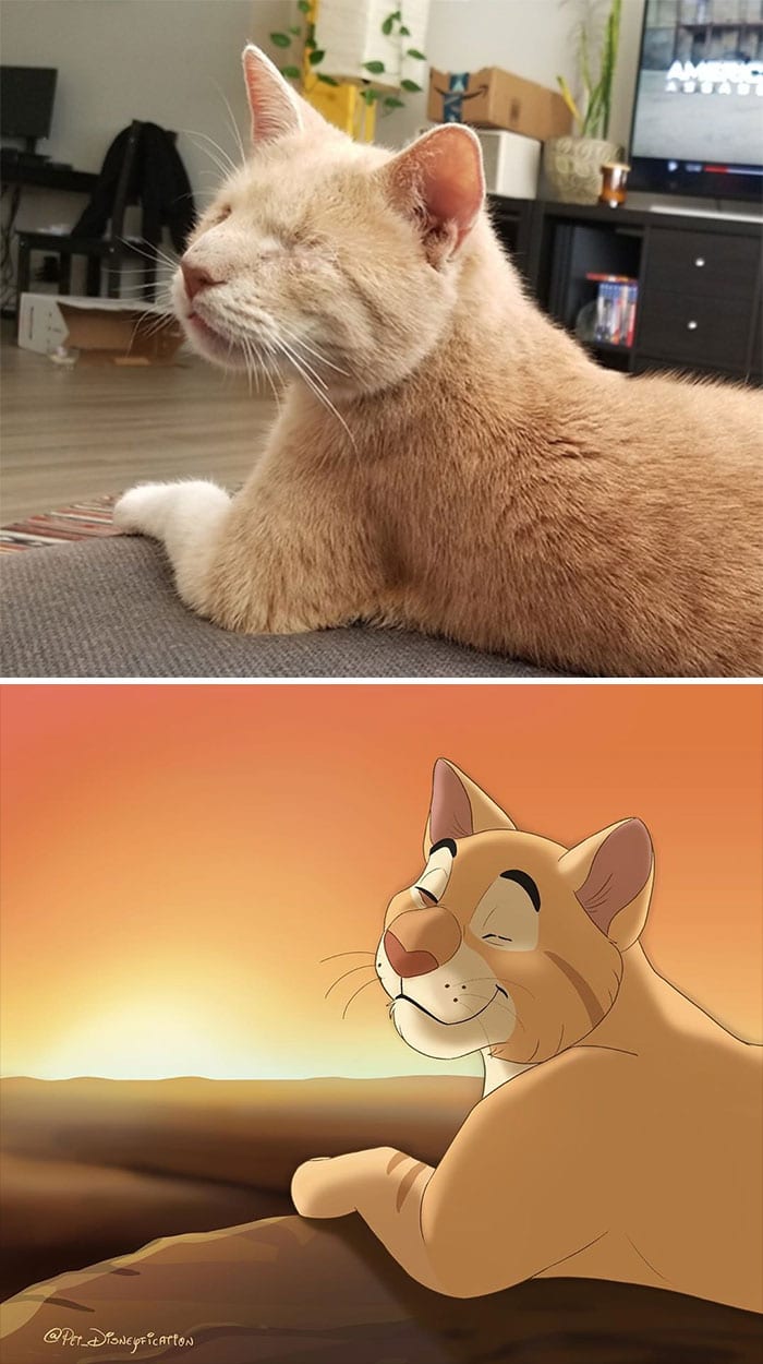 Is that the great-grandchild of Simba?