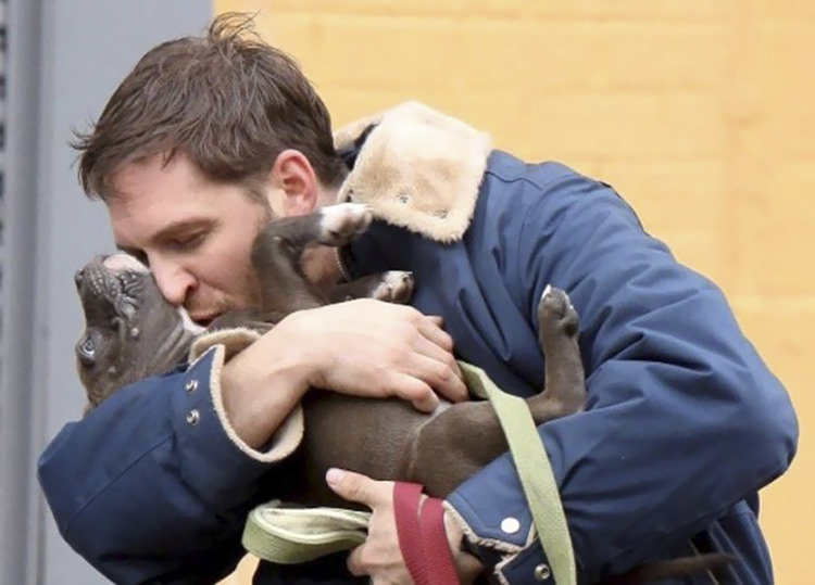This is Tom Hardy grabbed the little thing in his arms