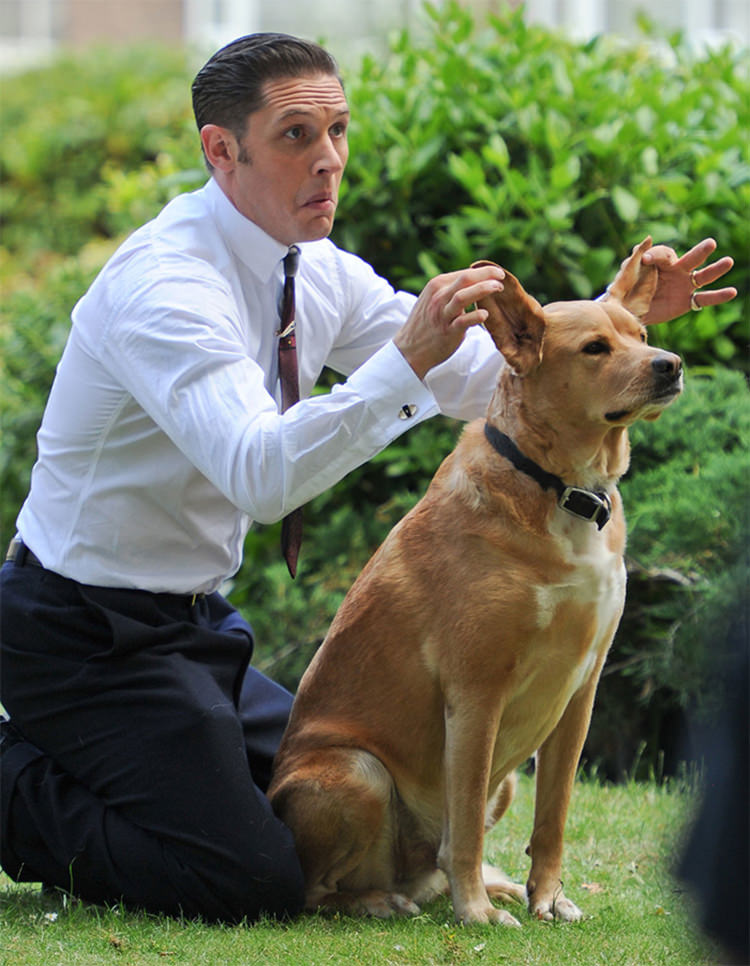 The cutest photo of Tom Hardy holding ears of the cute pooch