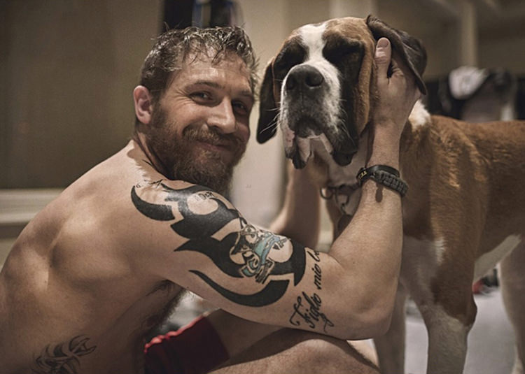 Tom Hardy's love for dogs is irreplaceable 