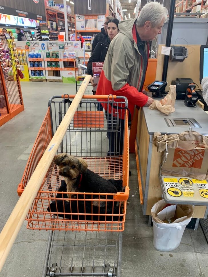 From ’we don’t need a rat in the house’ to ’don’t forget his pillow, the cart is too cold for him