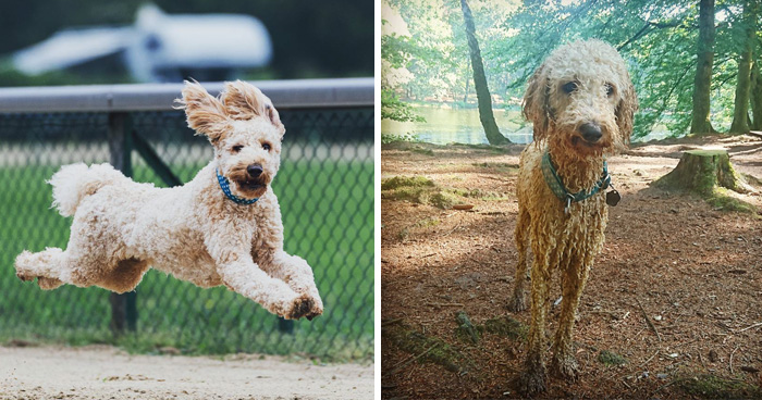 Before Vs. After Bath Pic