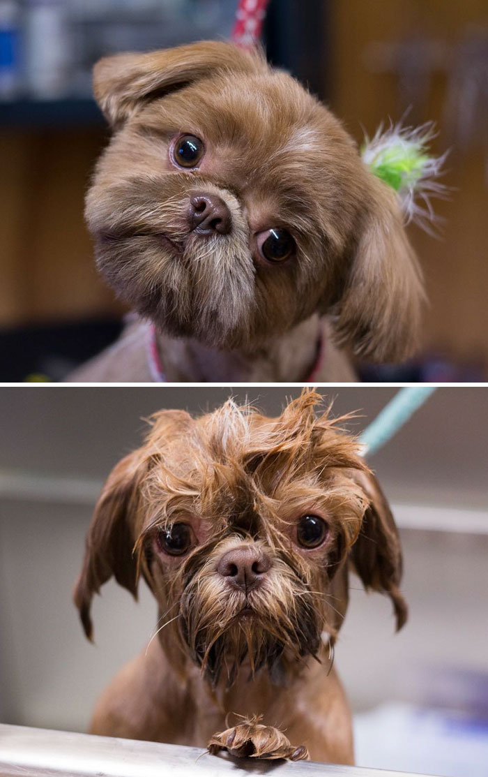 Before Vs. After Bath Pic