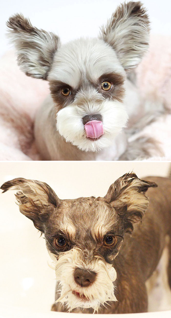 Before Vs. After Bath Pic