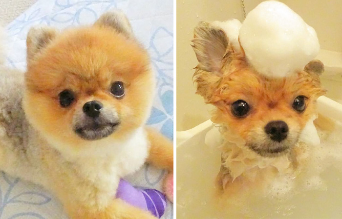 Before Vs. After Bath Pic