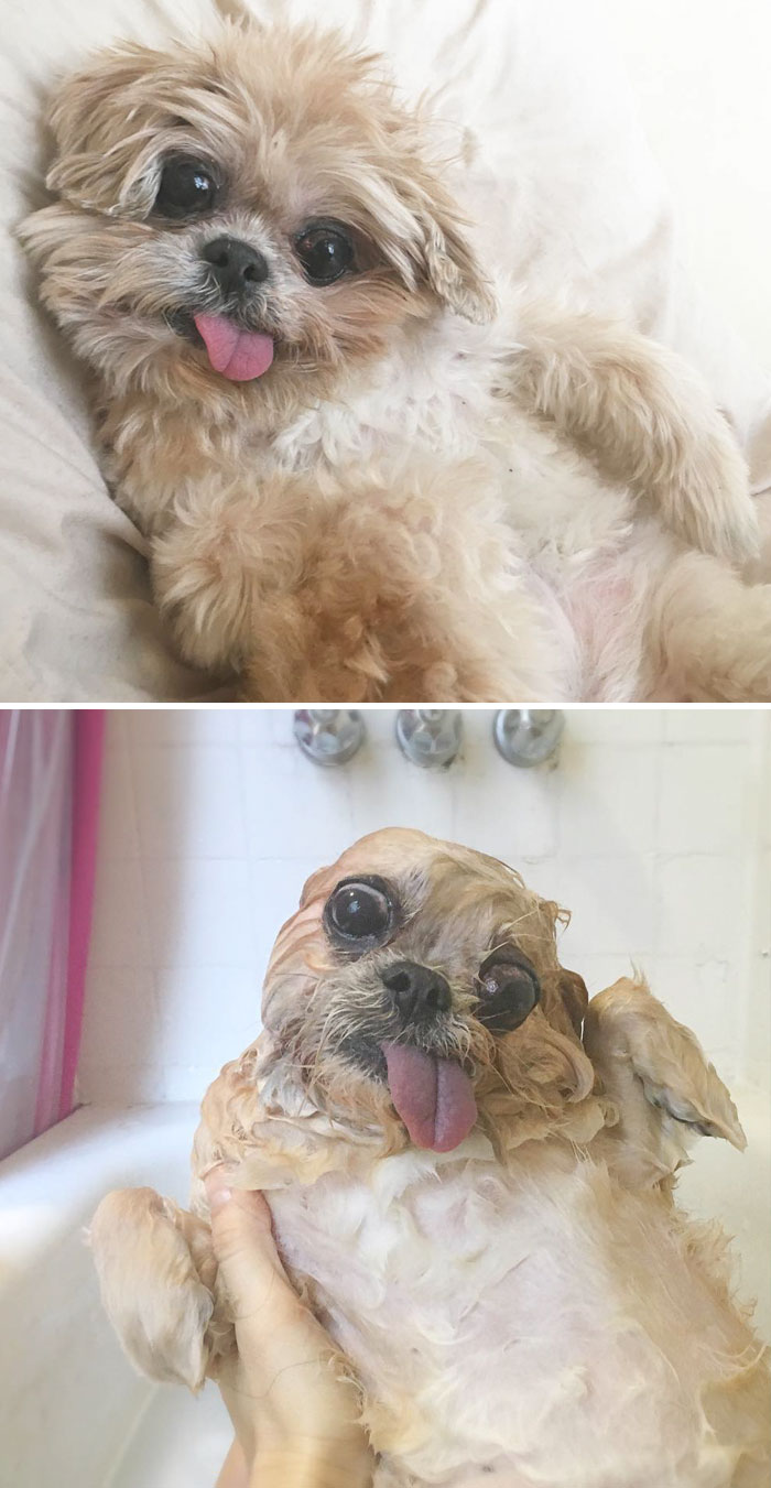 Before Vs. After Bath Pic