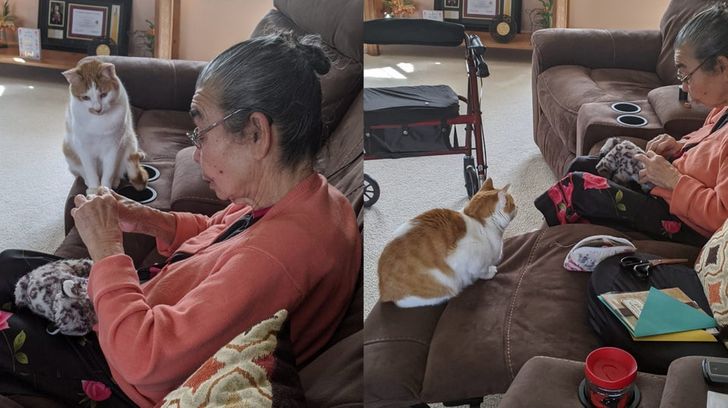 My cat ripped open his favorite toy. This is my grandma sewing it back together