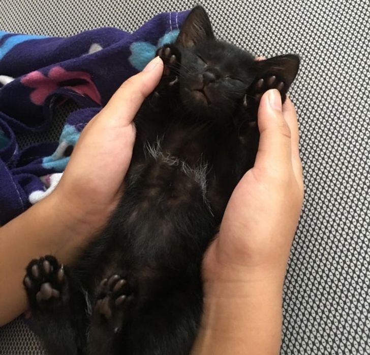 She suddenly fell asleep like this while I was just playing with her