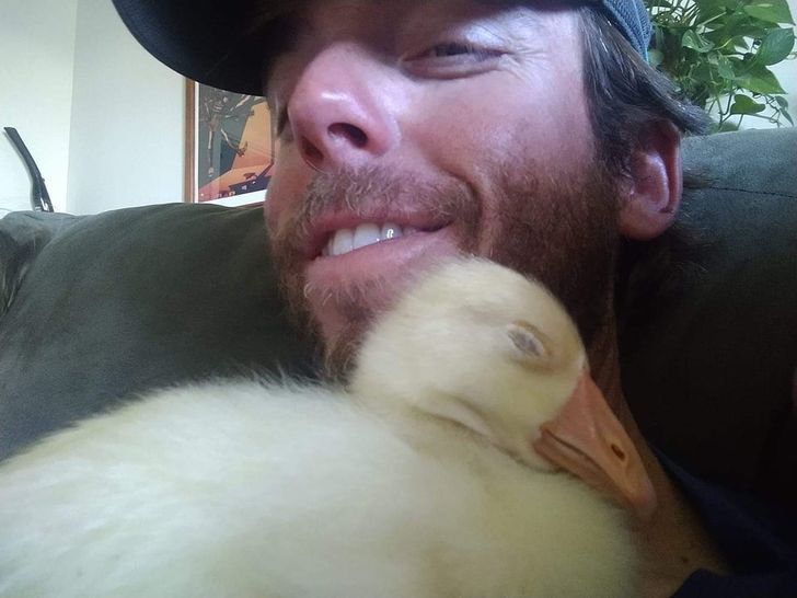 I’ve never had a goose before. Hard to imagine life without one now. Meet Joslin’ the goslin’!