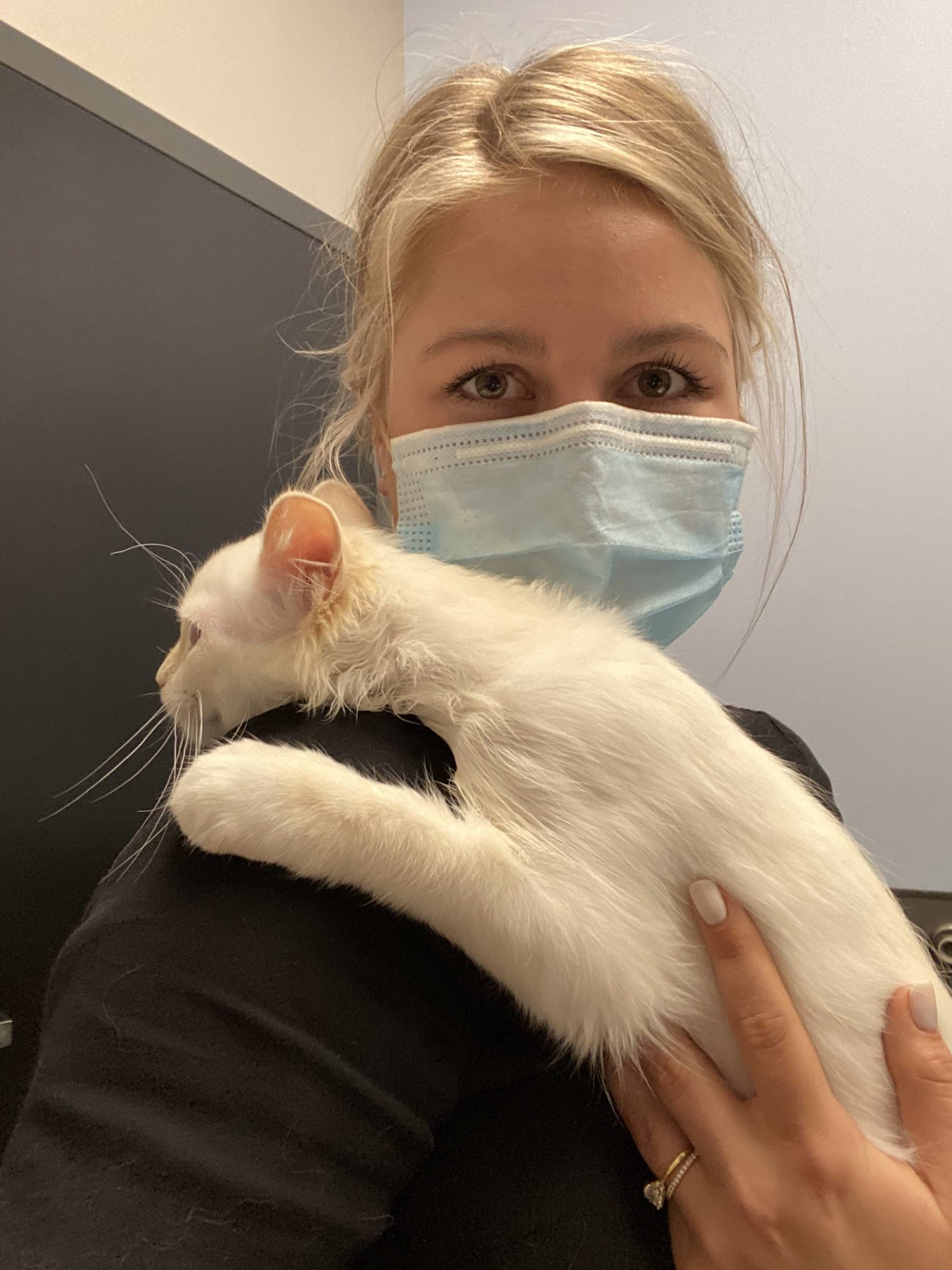 My wife just sent me a picture of our cat at the vet. Safe to say she’s a little scared