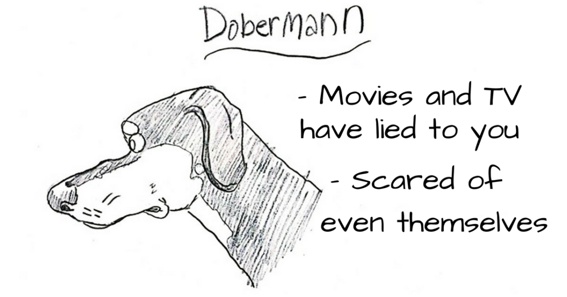 This Funny Dog Breed Guide Will Change How You Choose A Dog Forever