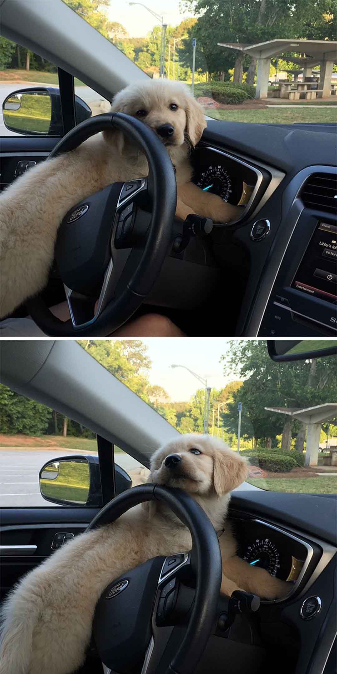 Really? Could I get a little help here? Why are we sitting in the car?