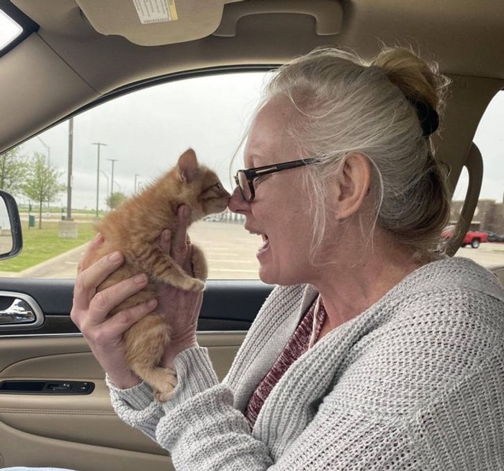 My mom meeting her dream kitten for the first time today!