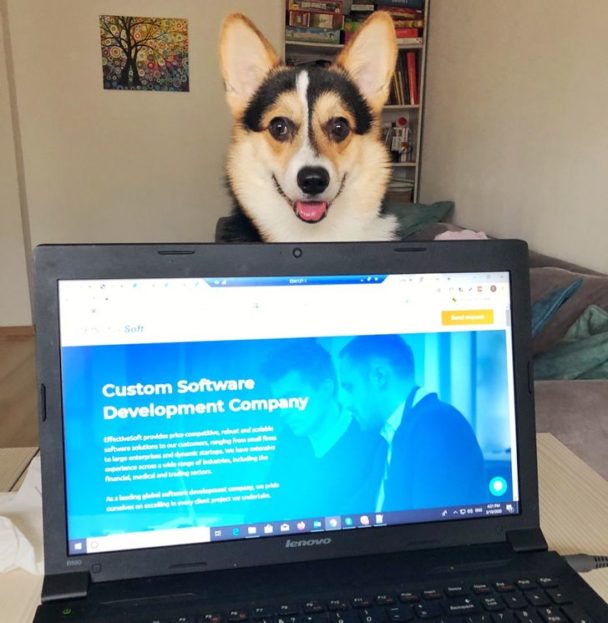 20 Pics Which Will Make You Wanna Get A Dog Right Now