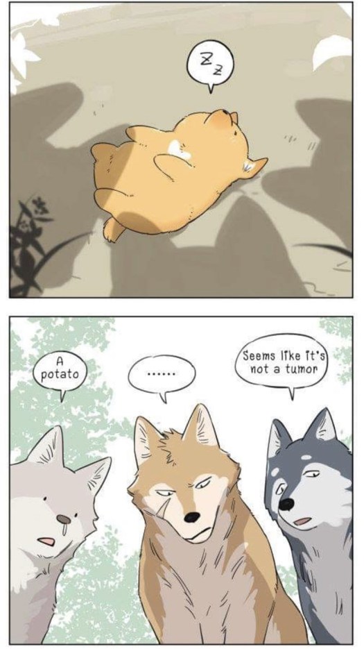 These Wholesome Comics About Dad Wolf And Puppy Will Make You Smile