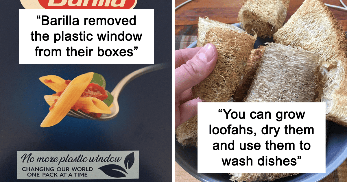 ‘Zero Waste’ Tips And Tricks For Anyone Who Cares About The Environment As Shared On This Online Group (45+ Tips)