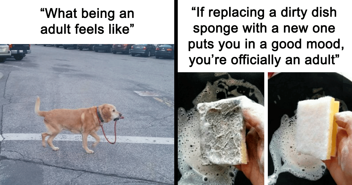 30 Hilarious Adulting Memes That Speak Only The Truth