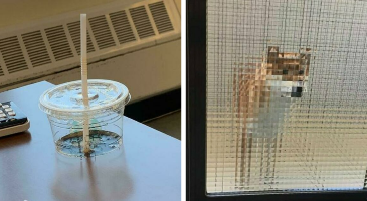 35 Pictures That Show Real Life Didn't Render Properly