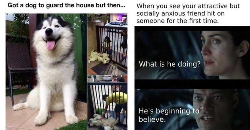 35 Wholesome Memes That Are Actually Funny 35 Wholesome Memes That Are Actually Funny