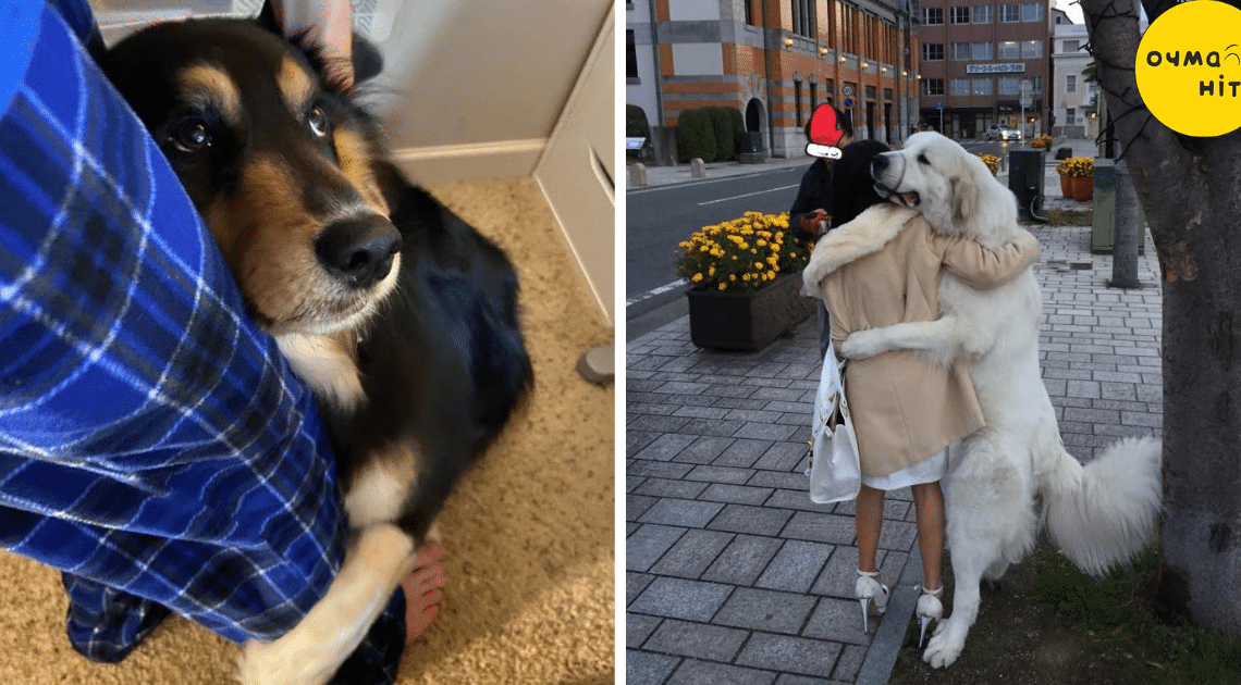 17 Pictures That Prove Pets Just Love To Hug Humans And It Is Adorable
