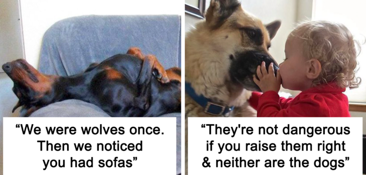 Tweets showing that dogs are man's best friend