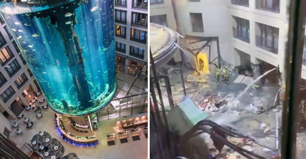 Massive Aquarium Containing More Than 1,500 Tropical Fish Explodes in