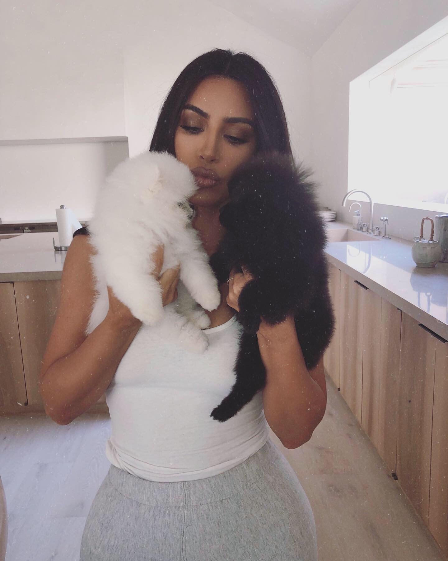 Kim Kardashian with her two dog pets