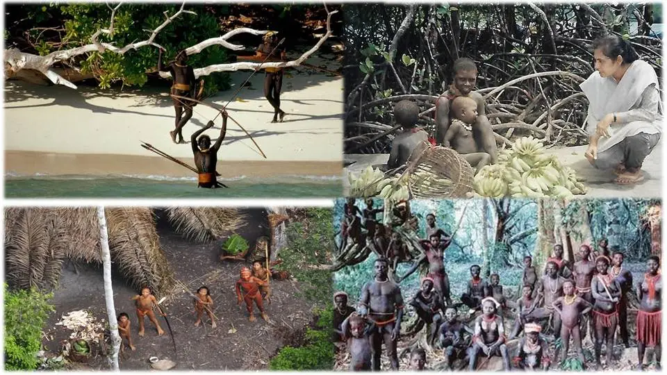 Who Are The Sentinelese People Of North Sentinel Island Here s Who Are The Sentinelese People Of North Sentinel Island Here s