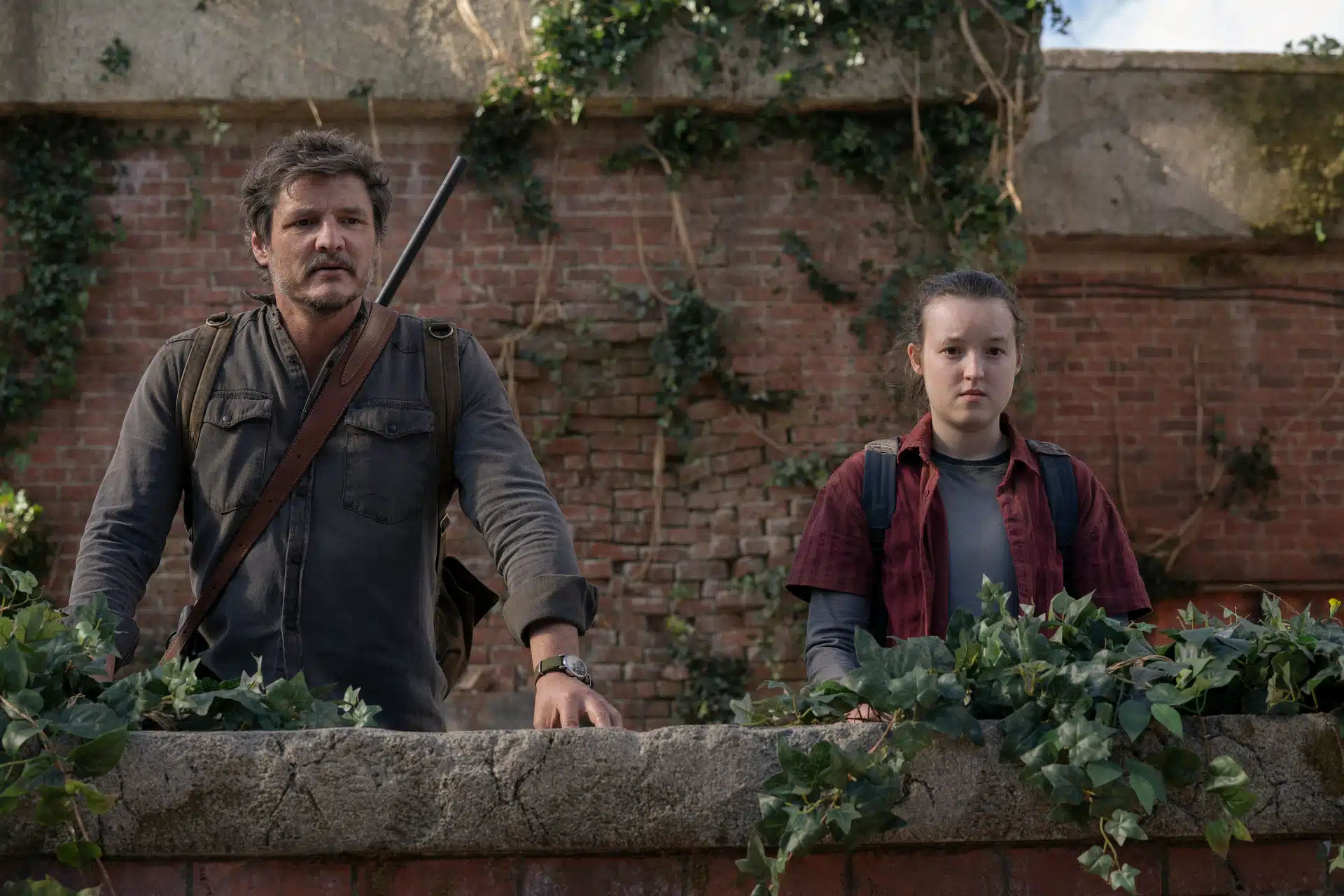 HBO The Last of Us Season 3 Release Already CONFIRMED Even Before Season 2