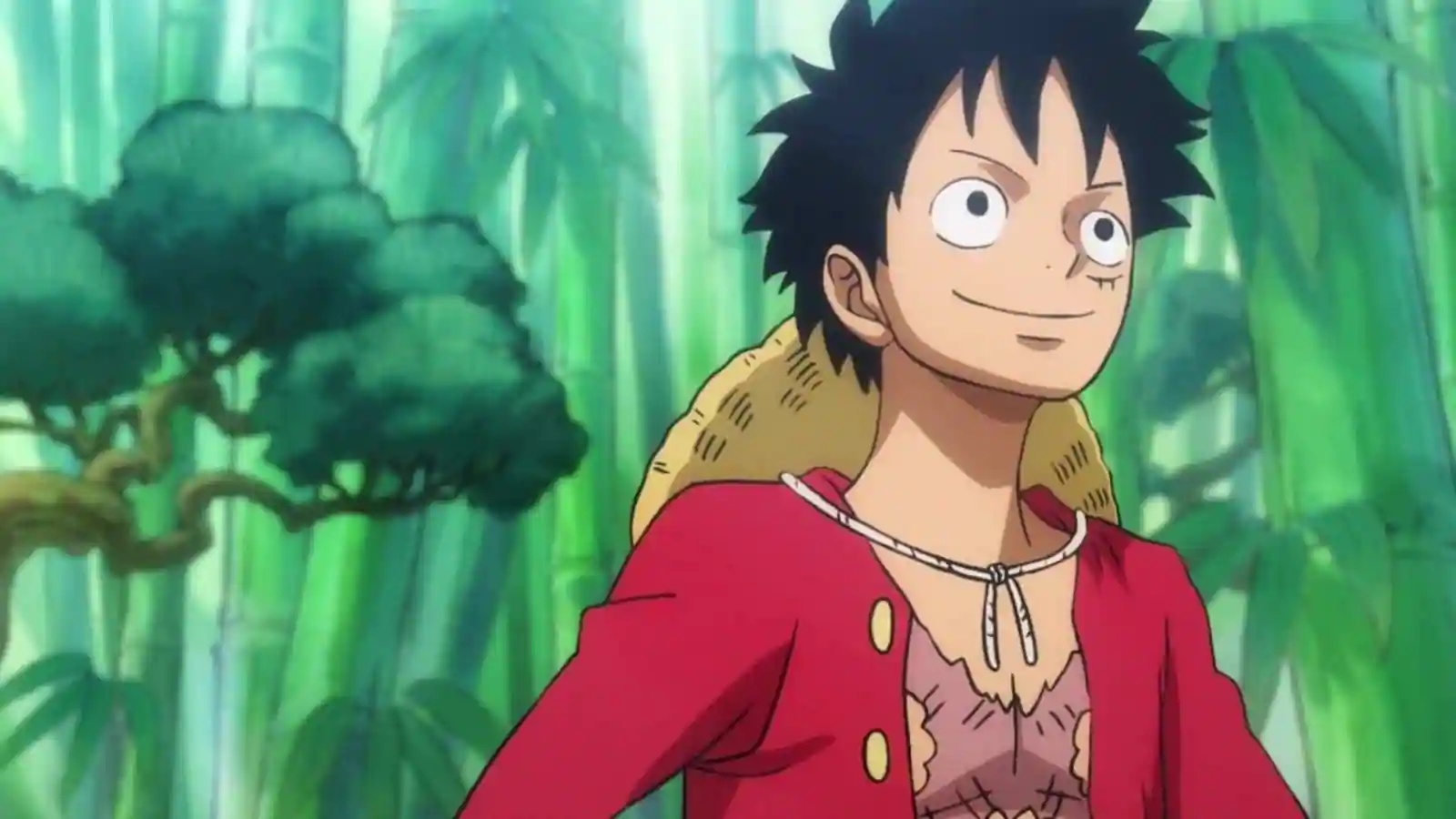 One Piece Chapter 1080 Release Date, Time, Spoilers, Preview, Watch Online, and More - Monkey D Luffy